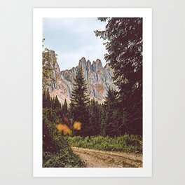 Take a Hike Art Print