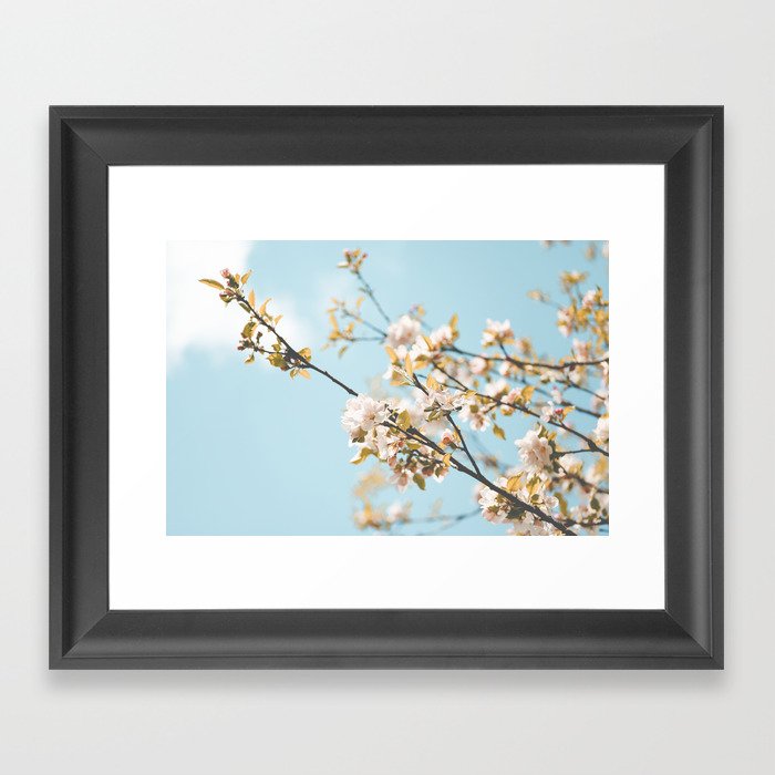 Apple Blossom I Framed Art Print