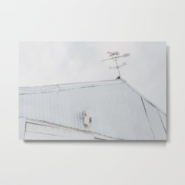 Old Barn with Skull and Weathervane Metal Print