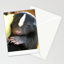 Stinker the Striped Skunk Stationery Cards