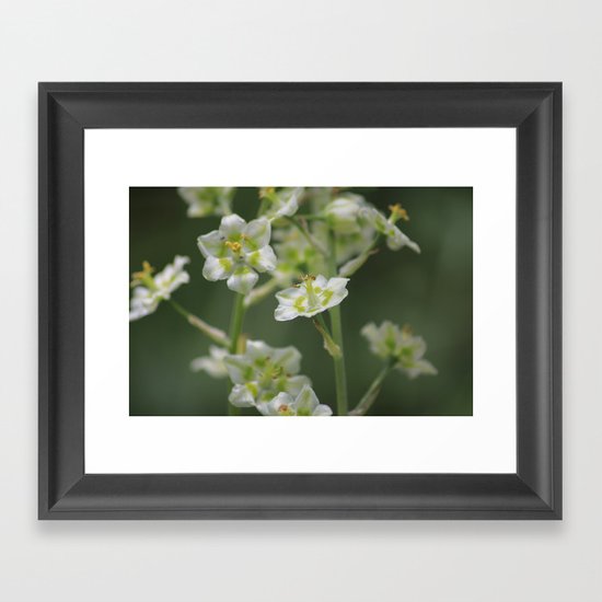 out camping Framed Art Print
