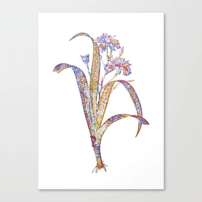 Floral Iris Fimbriata Mosaic on White Canvas Print