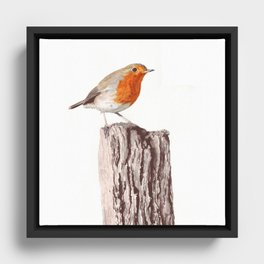 The Robin, A Realistic Watercolor Painting Framed Canvas