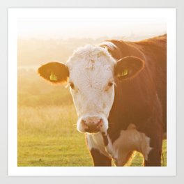 Gentle Majesty: Portrait of a Cow in a Serene Field Art Print