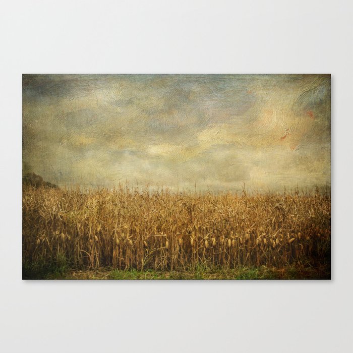 Winds of Change Canvas Print