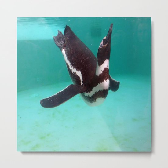 Penguin Swim Metal Print