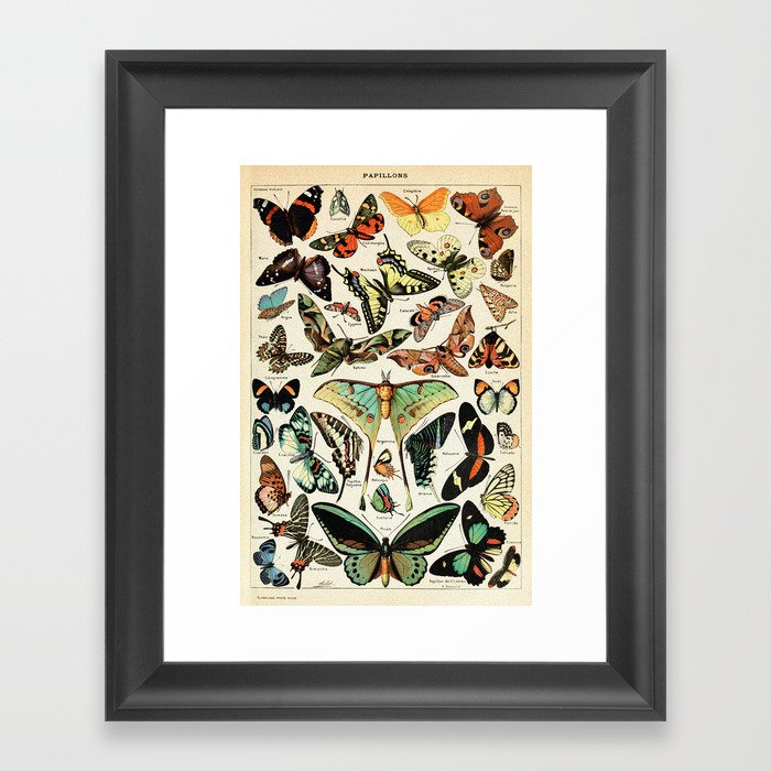 Papillon I Vintage French Butterfly Charts by Adolphe Millot Framed Art Print