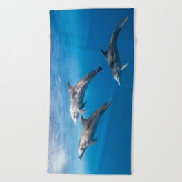 Dolphriends Beach Towel