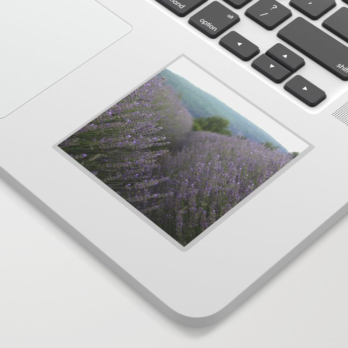 Luscious Lavender Fields Landscape Photography Sticker