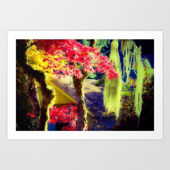 Fall Colors at Crescent Lake Lodge Art Print