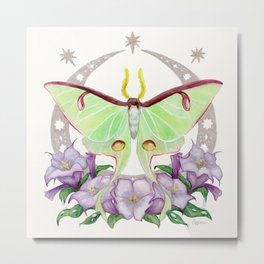 Night Luna Moth with Datura Flowers on Ivory Metal Print