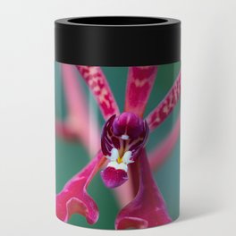 Exotic Red Orchid In Green Can Cooler