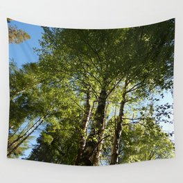 Scottish Highlands Birch Tree Spring Perspective Wall Tapestry