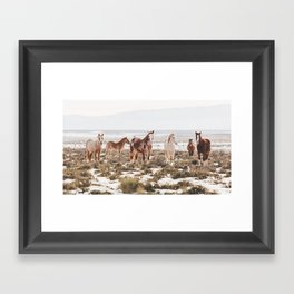 Mustangs of Colorado River Gerahmter Kunstdruck