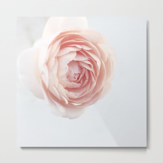 Rosey outlook Metal Print