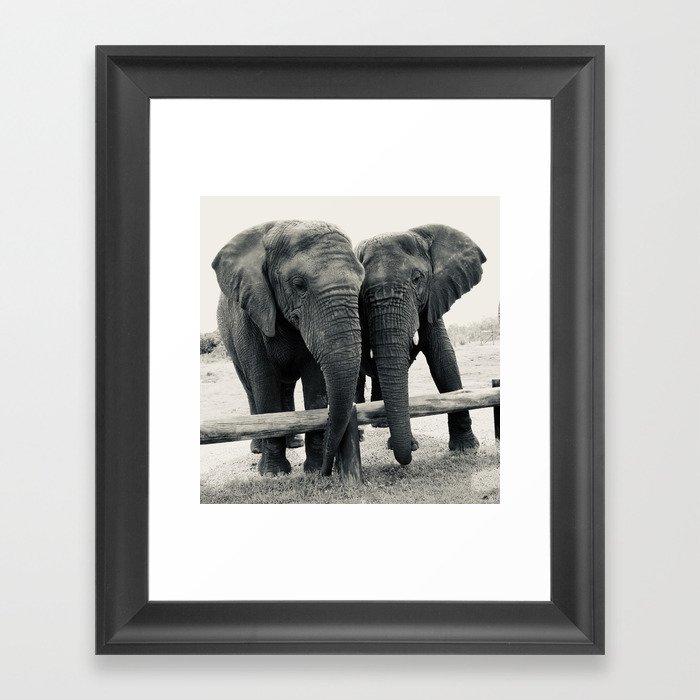 Elephants in Love Framed Art Print