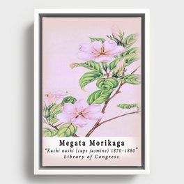 Remix Japanese Woodblock Painting Kuchi nashi (cape jasmine) by Megata Morikaga Framed Canvas