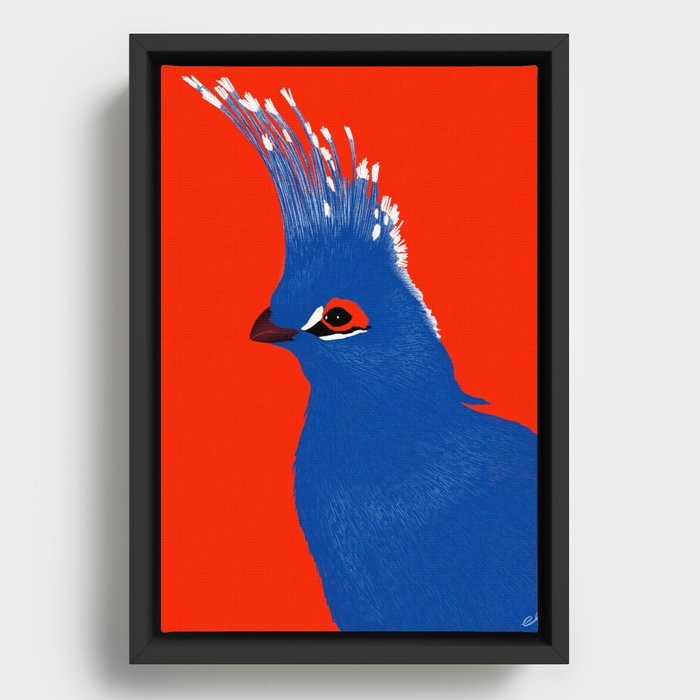 Turako red and blue Framed Canvas