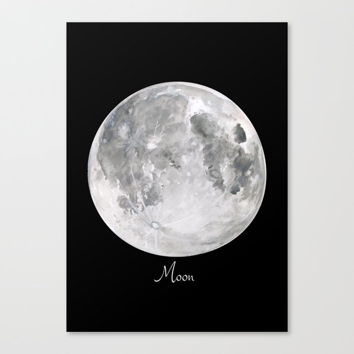 Moon Night  Canvas Print