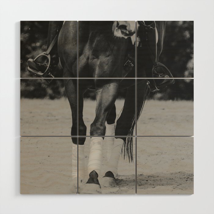 Black and White OTTB Schooling Dressage Canter Wood Wall Art