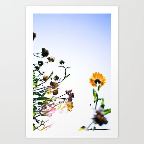 Criss-cross Art Print