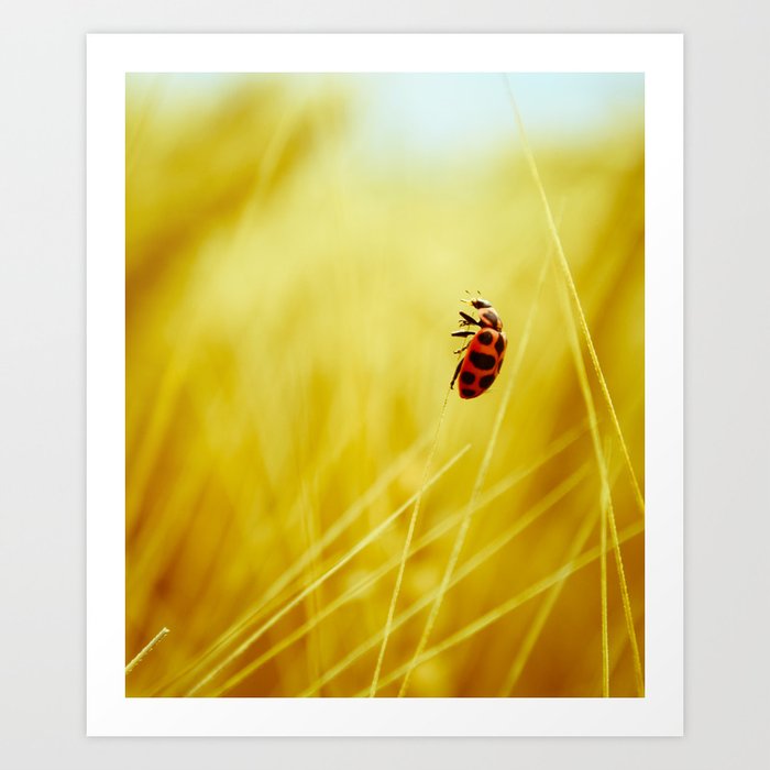to the wind. Art Print