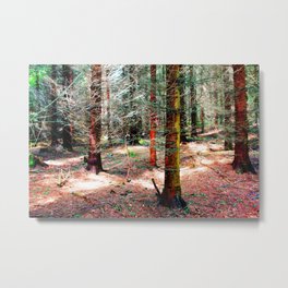 can´t find no mushroom II Metal Print | Landscape, Digital, Nature, Abstract 