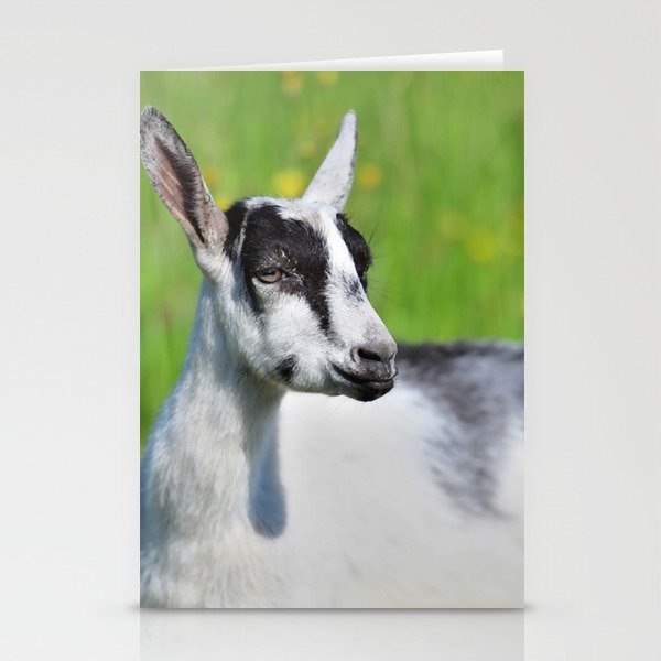 Domestic Goat Eats Grass Meadow Summer   64 Stationery Cards