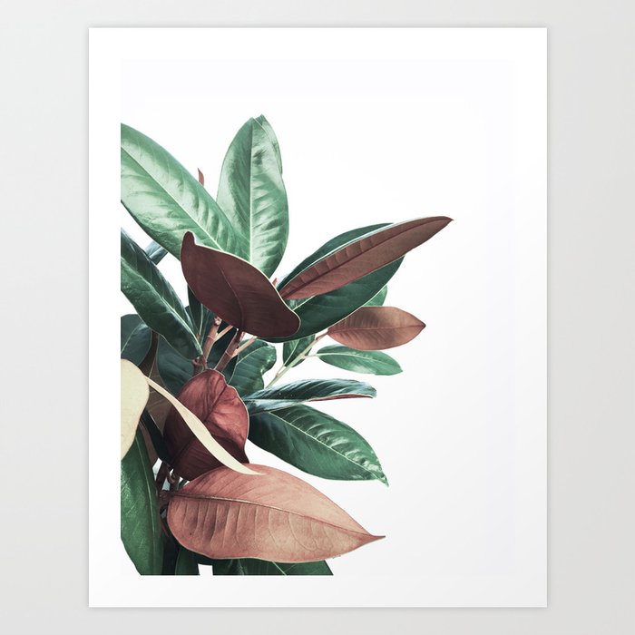 Grandiflora Art Print