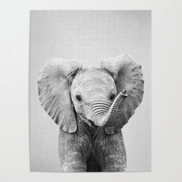 Baby Elephant - Black & White Poster