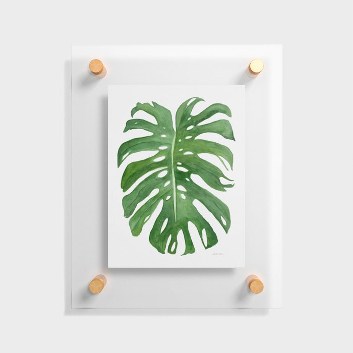 Tropical Monstera Leaf Floating Acrylic Print