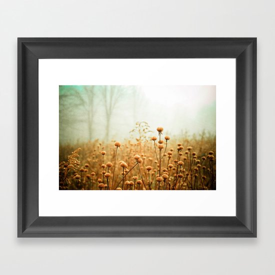 Daybreak in the Meadow Framed Art Print