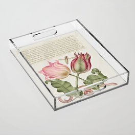 Vintage rose calligraphic poster art Acrylic Tray