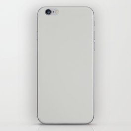 Cloudy Gray Off White Solid Color Pairs PPG Fog PPG1010-2 iPhone Skin