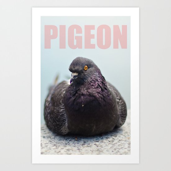 Pigeon Art Print