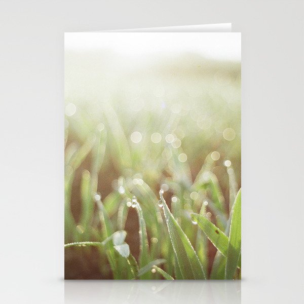 Morning Grass Stationery Cards