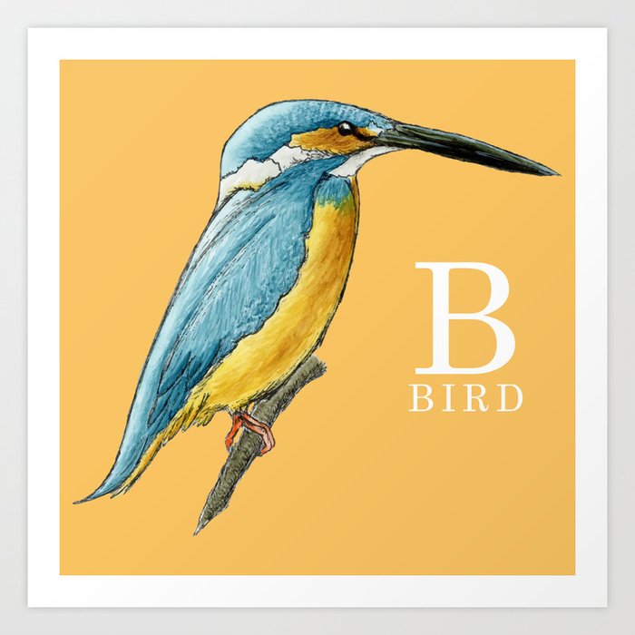 B is for Bird Art Print