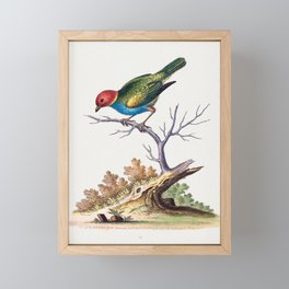 Vintage bird illustration Framed Mini Art Print