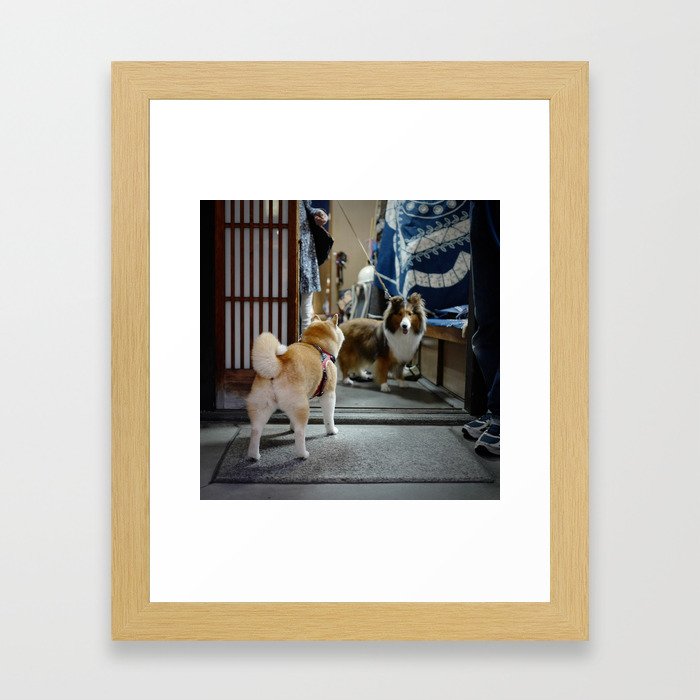 Shiba Inu Dog in Kyoto, Japan Framed Art Print
