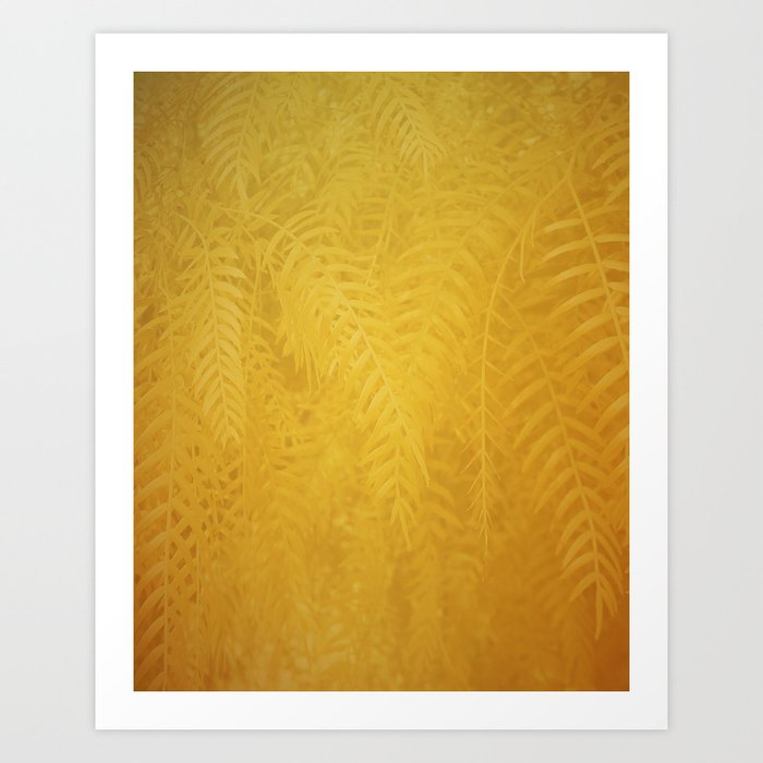 Gold Leaves Art Print