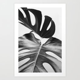 Duo Art Print