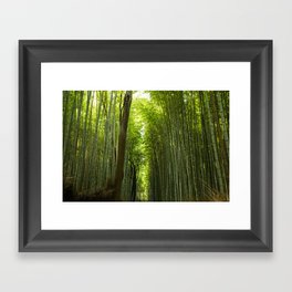 Morning Bamboo - Kyoto, Japan Framed Art Print