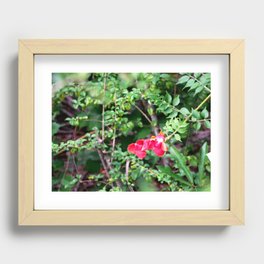 Nature's Finest Recessed Framed Print