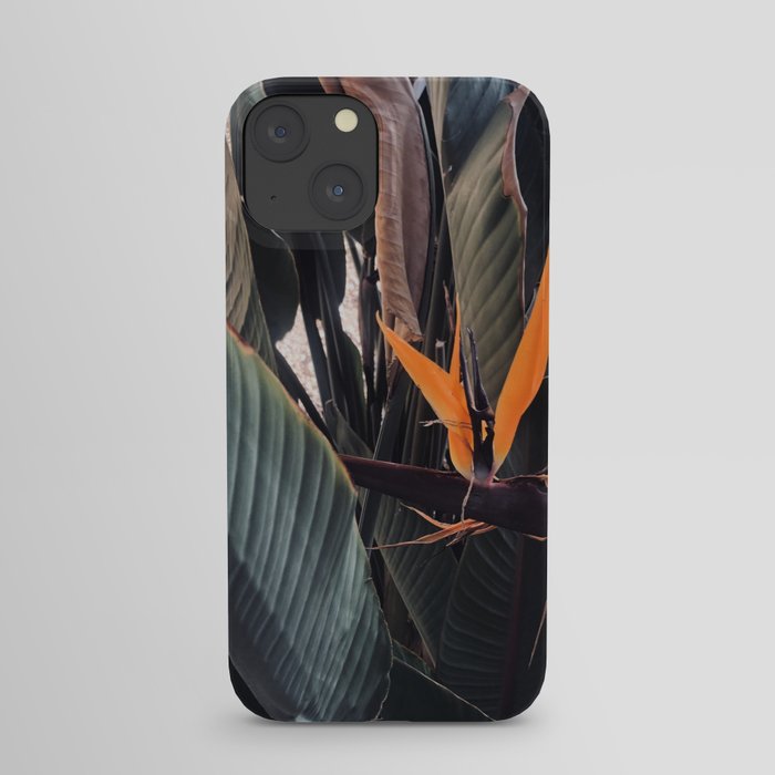 Desert Plant iPhone Case