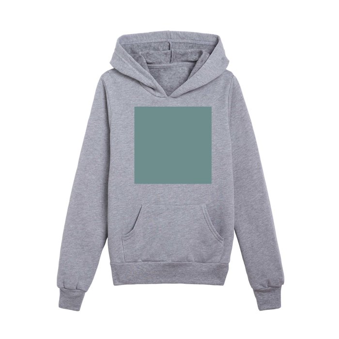 Peacock blue 2025 hoodie