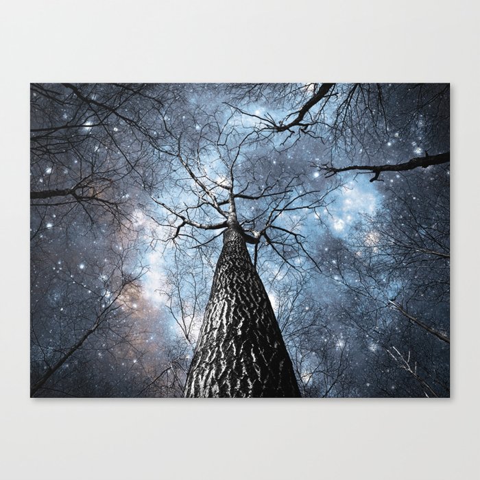 Wintry Trees Galaxy Skies Steel Blue Canvas Print