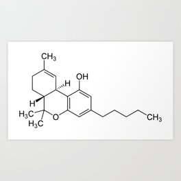 THC Molecule Art Print