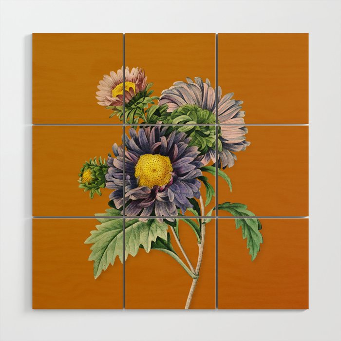 Vintage China Aster Botanical Illustration on Sunset Orange Wood Wall Art