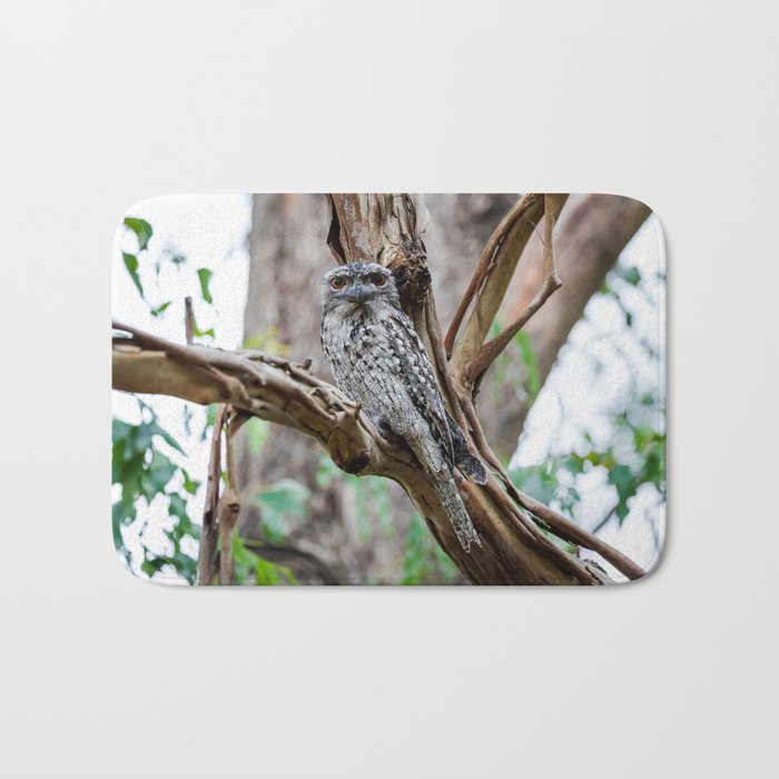 Inquisitive tawny frogmouth watching from a tree Bath Mat