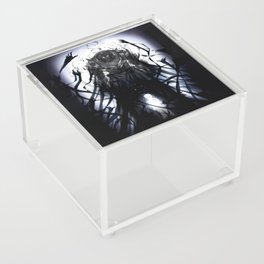 Fullmetal Alchemist 22 Acrylic Box
